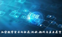 加密数字货币的格局：现状、挑战与未来展望