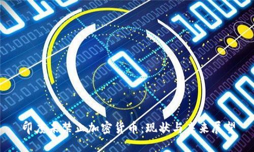 印度未禁止加密货币：现状与未来展望