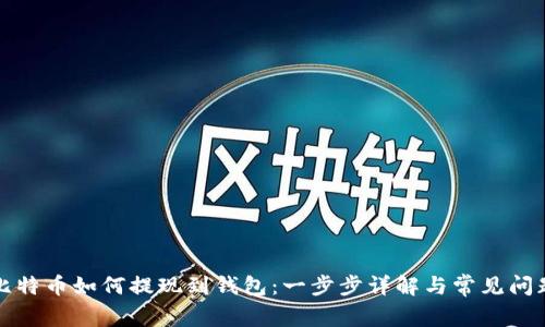 比特币如何提现到钱包：一步步详解与常见问题