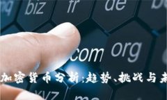 区块链加密货币分析：趋势、挑战与未来展望