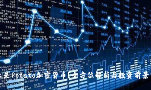 什么是Potato加密货币？全方位解析与投资前景分析