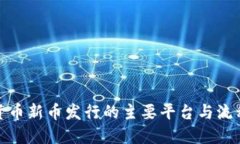 加密货币新币发行的主要平台与流程详解
