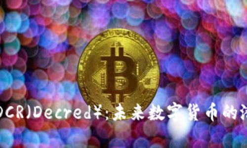 深入解析DCR（Decred）：未来数字货币的潜力与挑战