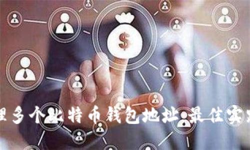 如何管理多个比特币钱包地址：最佳实践与技巧