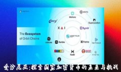 爱沙尼亚：探索国家加密货币的未来与挑战