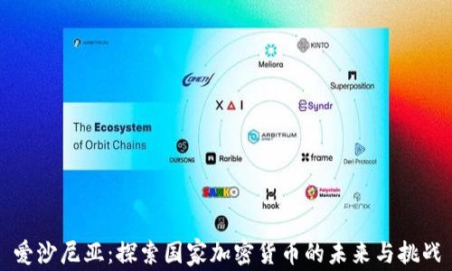 
爱沙尼亚：探索国家加密货币的未来与挑战