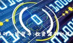 最疯狂的加密货币：投资者的机遇与风险