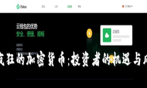 最疯狂的加密货币：投资者的机遇与风险