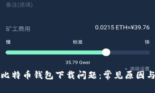 如何解决比特币钱包下载问题：常见原因与解决方案