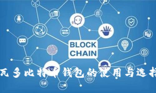 萨尔瓦多比特币钱包的使用与选择指南