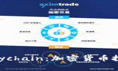 全面解析Polychain：加密货币投资的新机遇