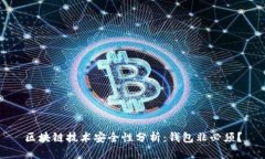 区块链技术安全性分析：钱包非必须？