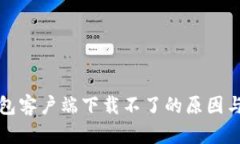比特币钱包客户端下载不了的原因与解决方案