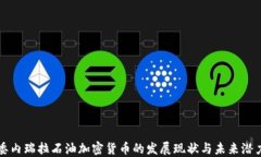委内瑞拉石油加密货币的发展现状与未来潜力