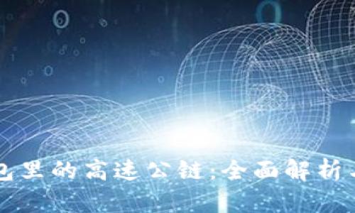 以太坊钱包里的高速公链：全面解析与投资前景