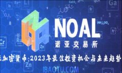 鲁亚加密货币：2023年最佳投资机会与未来趋势分