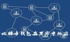 : 深入探讨比特币钱包在黑市中的应用及其影响