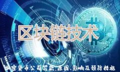 加密货币公司罚款：原因、影响及预防措施