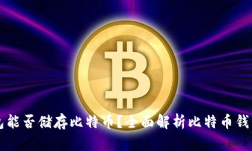 货币钱包能否储存比特币？全面解析比特币钱包的功能