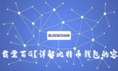比特币钱包下载需百G？详解比特币钱包的容量和