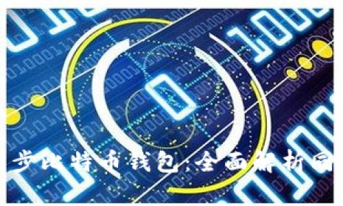 如何高效同步比特币钱包：全面解析同步加速技巧