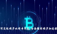 如何高效同步比特币钱包：全面解析同步加速技
