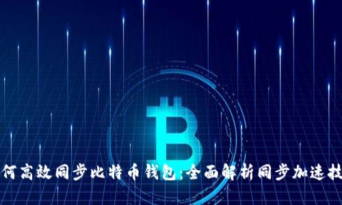 如何高效同步比特币钱包：全面解析同步加速技巧