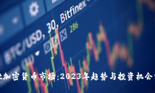 Riot加密货币市场：2023年趋势与投资机会分析
