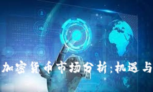 欧美加密货币市场分析：机遇与挑战