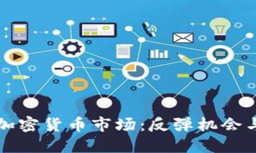严冬后的加密货币市场：反弹机会与投资策略