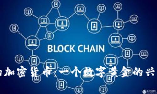 消失的加密货币：一个数字黄金的兴衰故事