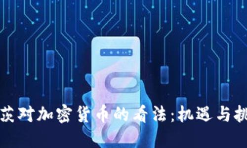 盖茨对加密货币的看法：机遇与挑战