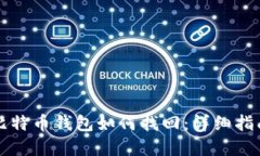 忘记密码的比特币钱包如何找回：详细指南与解