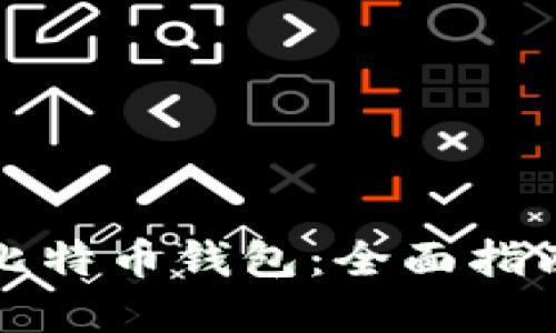 选择合适的比特币钱包：全面指南与下载推荐
