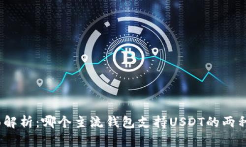 : 全面解析：哪个主流钱包支持USDT的两种版本?