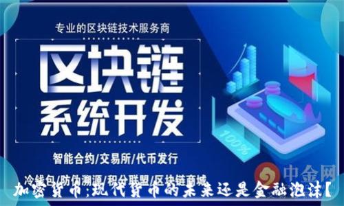   
加密货币：现代货币的未来还是金融泡沫？