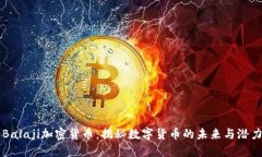 Balaji加密货币：揭秘数字货币的未来与潜力