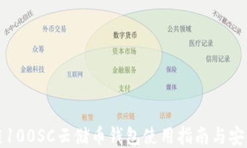 
区块链100SC云储币钱包使用指南与安全策略