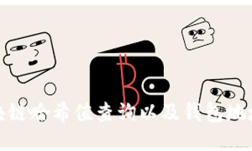 如何进行区块链哈希值查询以及钱包地址的精准定位