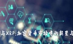 LNCT与XRP：加密货币市场中的新星与先锋