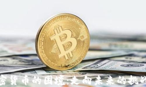 
解密加密货币的困境：走向未来的挑战与机遇