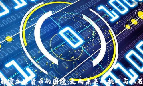 
解密加密货币的困境：走向未来的挑战与机遇