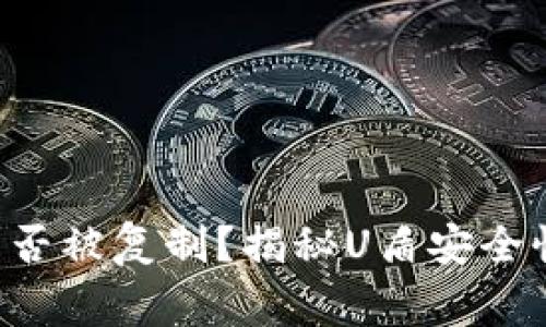 比特币钱包U盾是否被复制？揭秘U盾安全性及使用注意事项