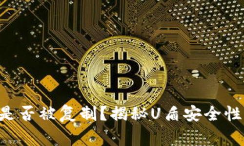比特币钱包U盾是否被复制？揭秘U盾安全性及使用注意事项