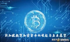 新加坡数字加密货币的崛起与未来展望