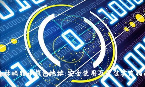 小林比特币钱包地址：安全使用及最佳实践指南