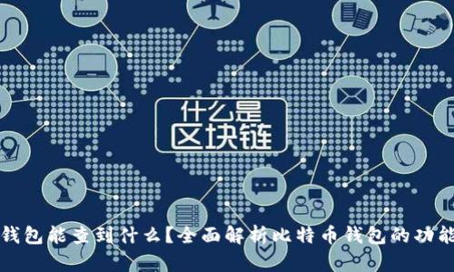 比特币钱包能查到什么？全面解析比特币钱包的功能与信息