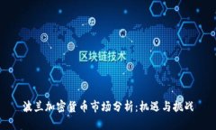 波兰加密货币市场分析：机遇与挑战