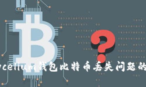: 解决Mycelium钱包比特币丢失问题的终极指南