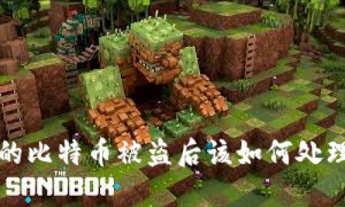 钱包里的比特币被盗后该如何处理与预防
